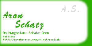 aron schatz business card